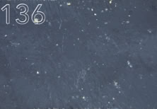 Farbmuster Classic W136