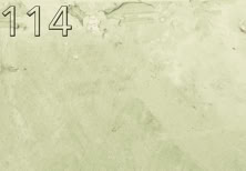 Farbmuster Classic W114