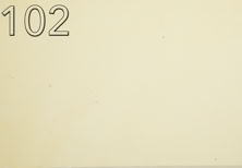 Farbmuster Classic W102