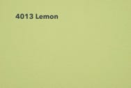 4013-Lemon Muster Rexx Solid
