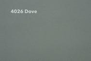 4026-Dove Muster Rexx Solid