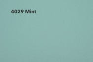 4029-Mint Muster Rexx Solid