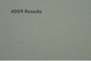 4009-Reseda Muster Rexx Solid