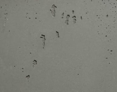 Beton Style Muster BS 907/ 908